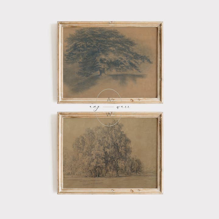 AMY WARR ART - Wholesale Art Print - Vintage Art Print - Tree Sketch - 'Tree Study No. 2'3