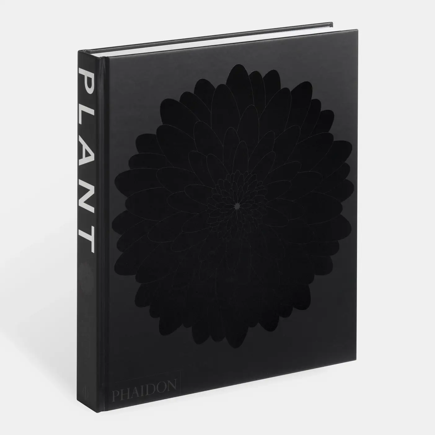 Phaidon - Wholesale Nature & Outdoors - Plant6