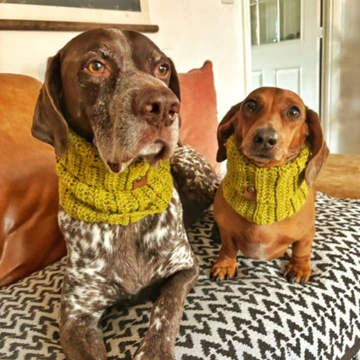 Pet Pooch Boutique - Wholesale Pet Snood - Dog - Maple Cookie Roll Top Dog Knitted Snood- UK made/autumn4