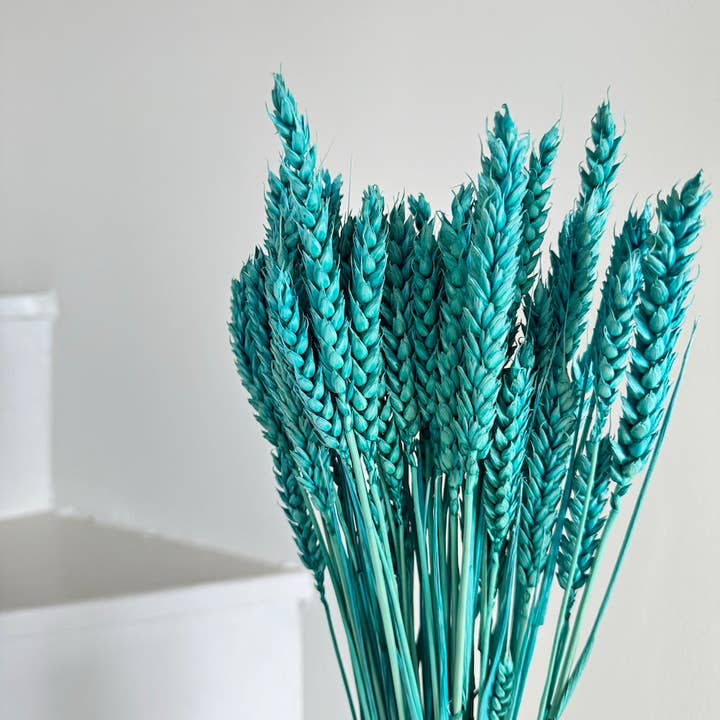 Flowrette - Wholesale Dried/Pressed Flowers - Turquoise wheat boot1