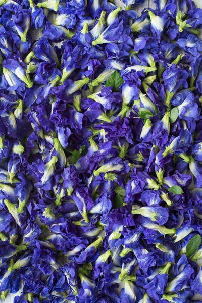 ERTH World Corp DBA Stone+Sage - Wholesale Losse thee - Blauwe vlindererwtbloem biologisch | Clitoria ternatea thee1