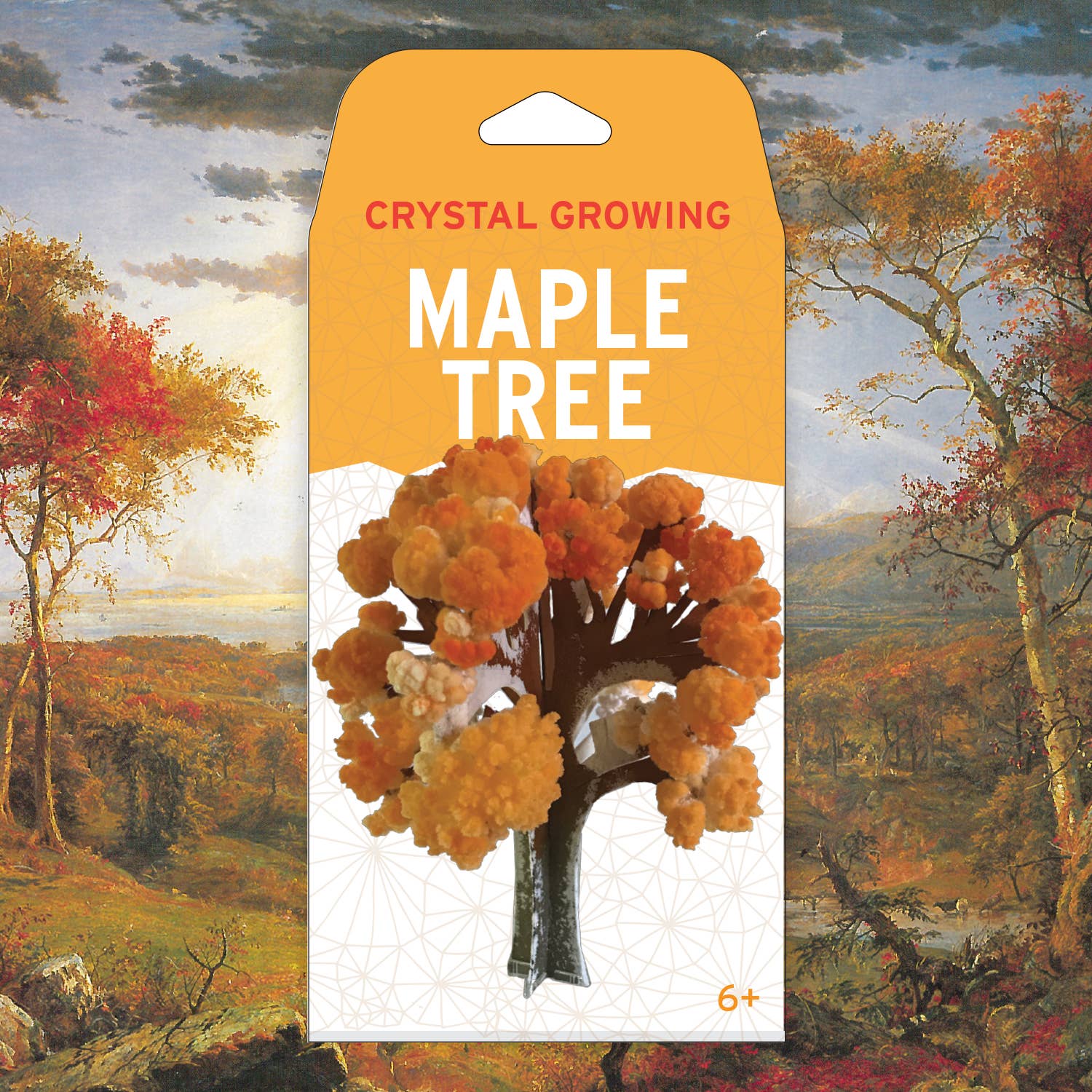 Copernicus Toys – wholesale DIY craft kit – Crystal Growing Maple Tree | 
Craft Kit Science Kit1