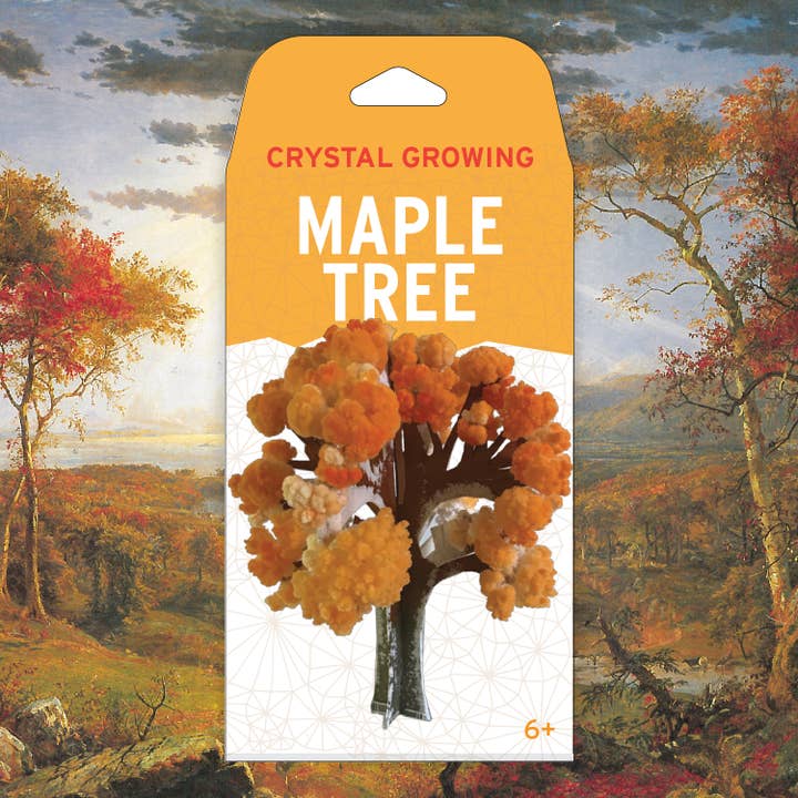 Copernicus Toys – wholesale DIY craft kit – Crystal Growing Maple Tree |
Craft Kit Science Kit1