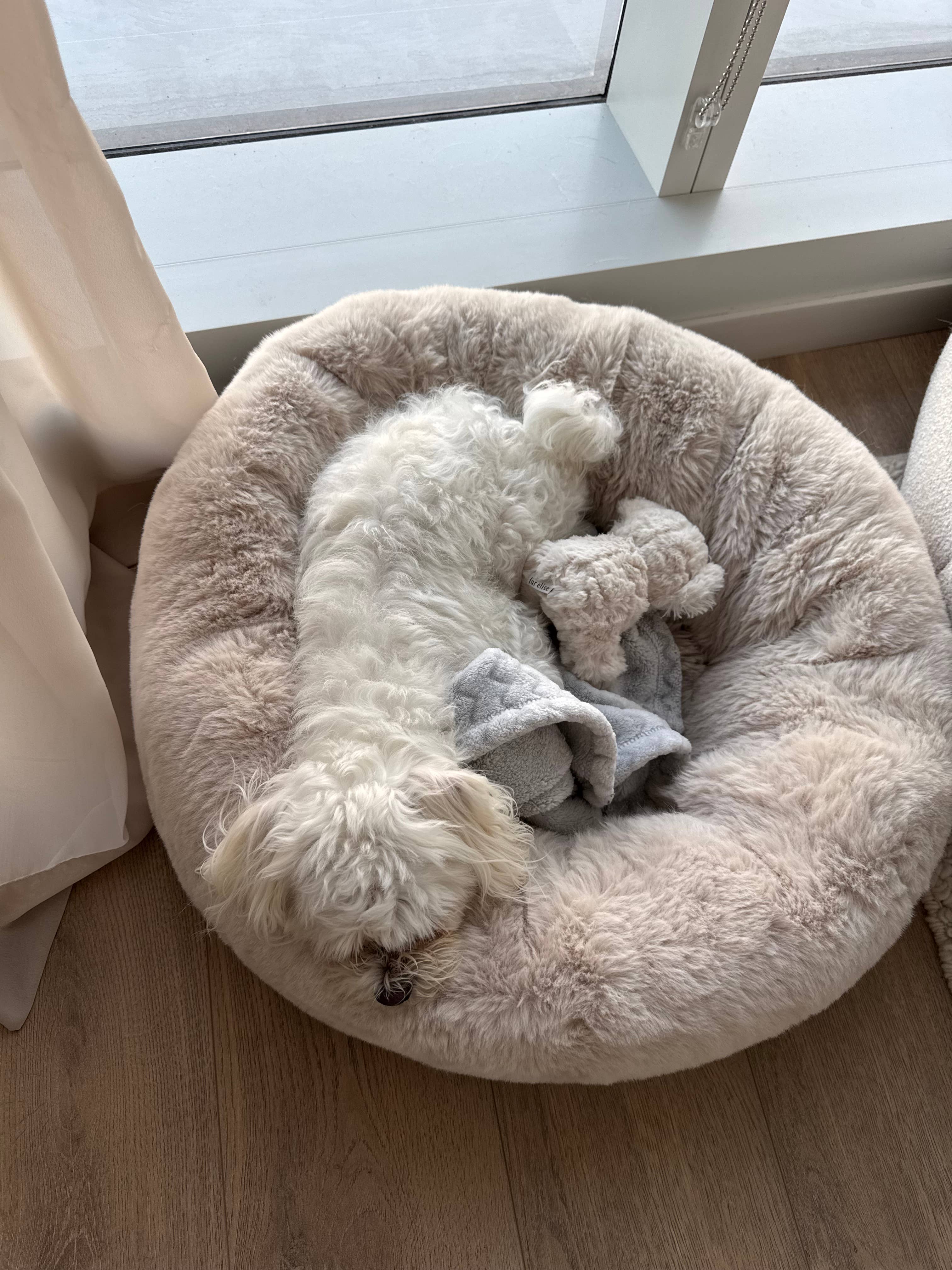 Fur Elise Pets - Wholesale Pet Plush Toy - Dog - Koko Mini Plushie7