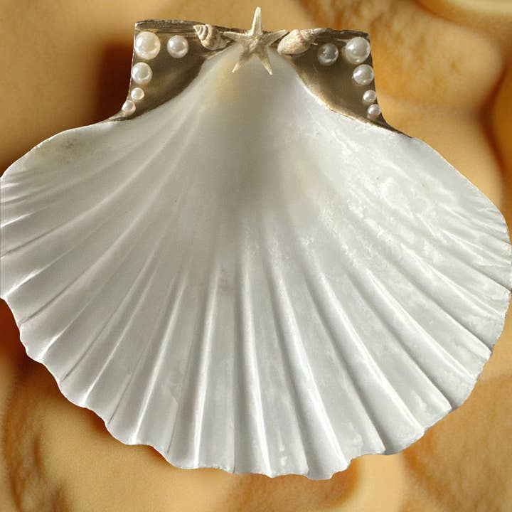 Starry Pearl Scallop Shell Trinket Dish – Gold Rim for wholesale by Shell Yeah By Jaks LLC
