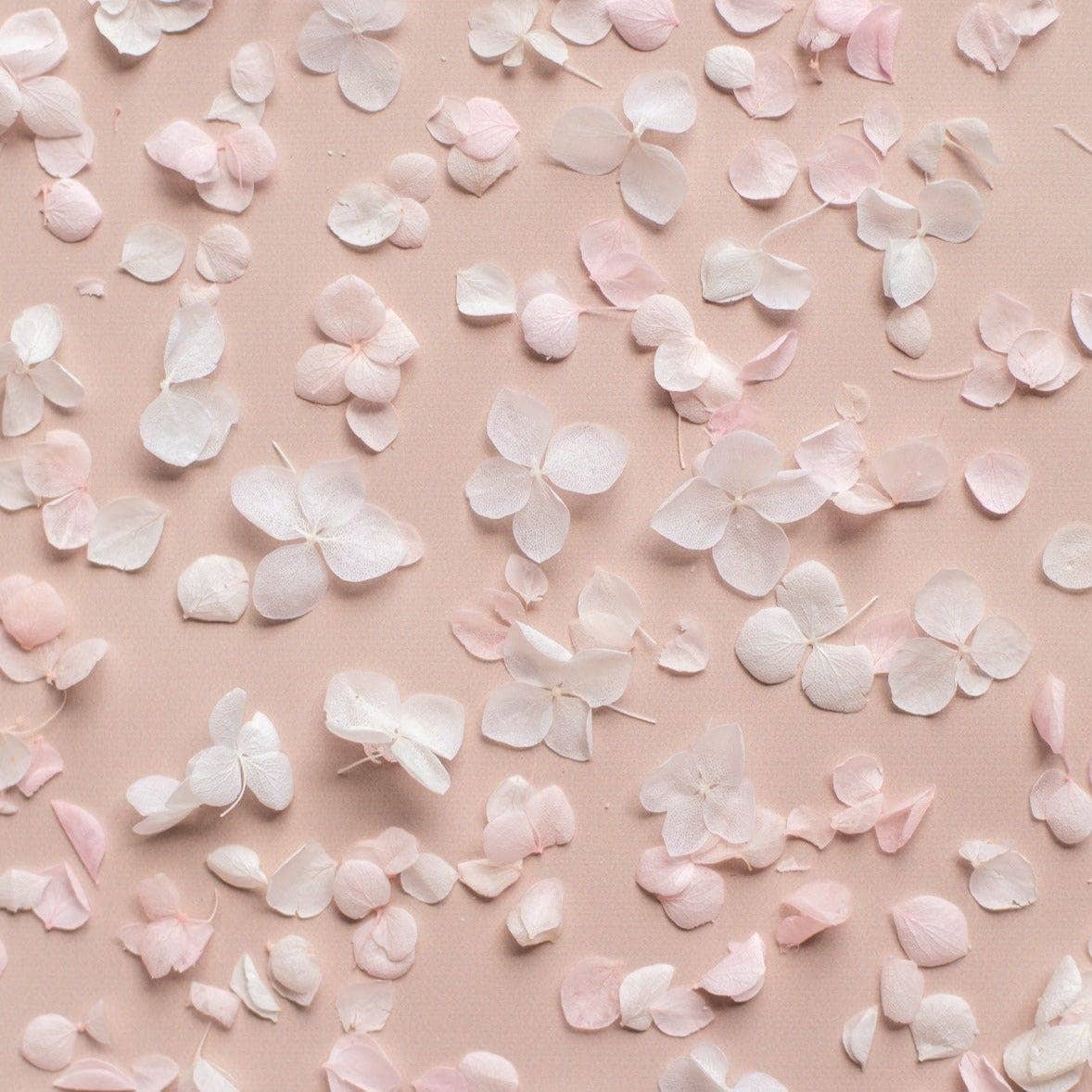 The Whole Bride – wholesale Konfetti – Hortensiabladbuntar (kronblad + kottar)18