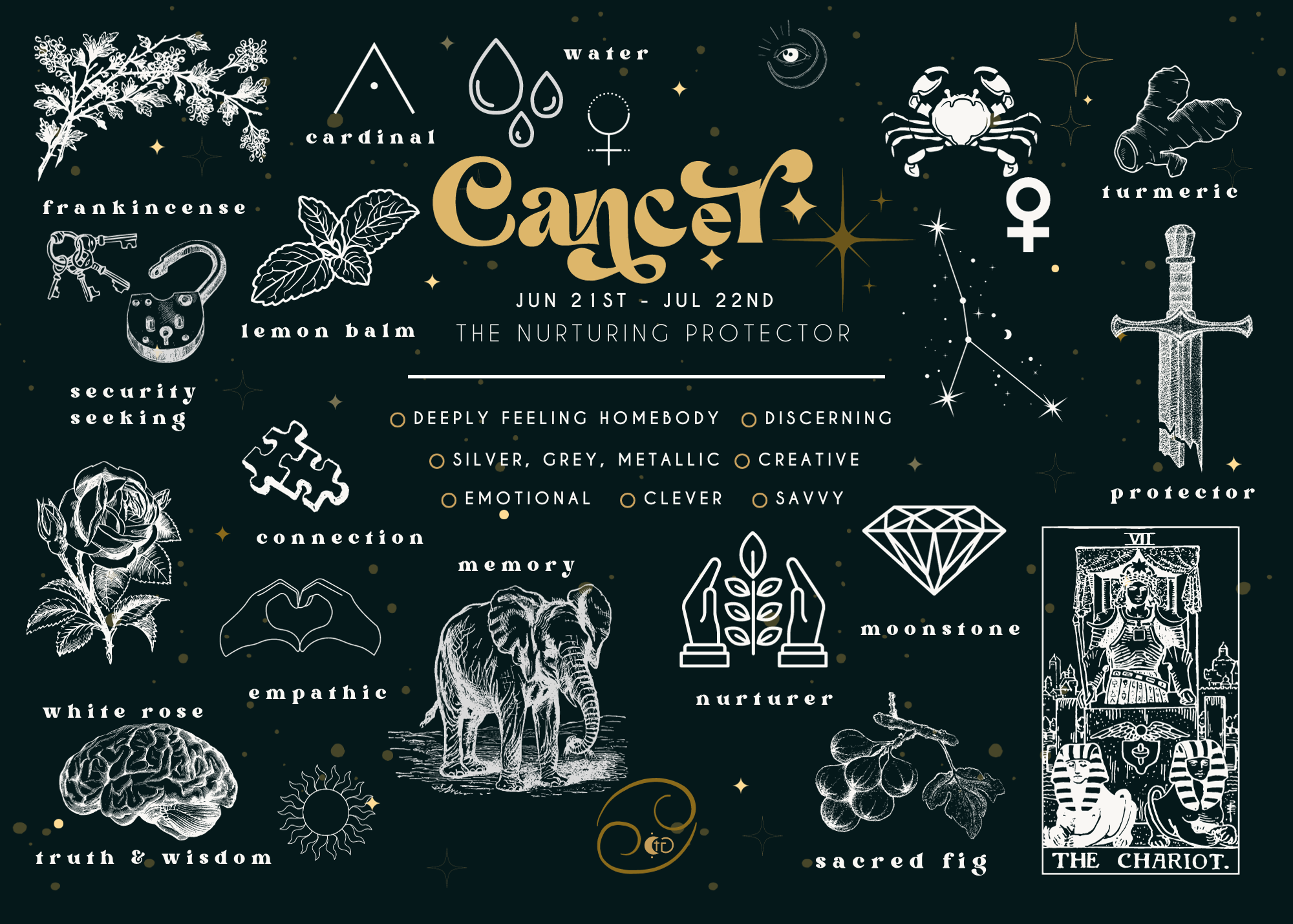 The Chaotic Good (previously The Great Cosmic Trust) - Wholesale Postcard - Astrology POSTCARDS - messages from the universe 5" x 7"11