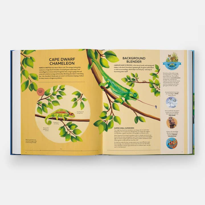 Phaidon - Wholesale Nature & Outdoors - Nature's Tiny Champions: The Big Book of Little Creatures1