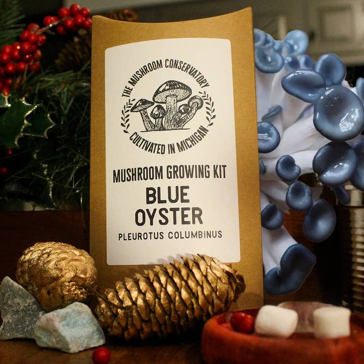 Kit de culture de champignons comestibles Blue Oyster - Cadeau gastronomique pour la vente par The Mushroom Conservatory LLC