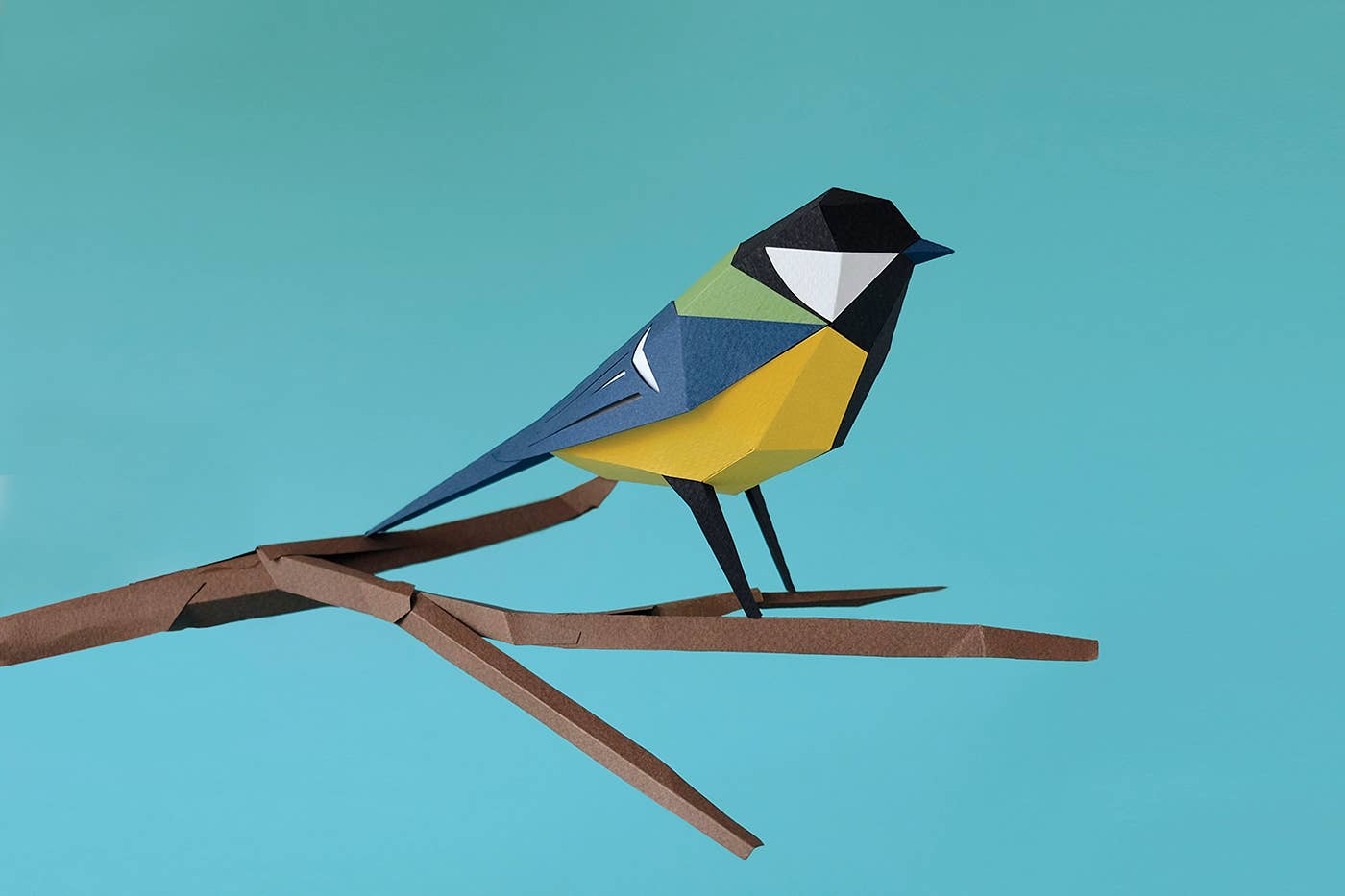 Today is Art Day - Wholesale DIY Craft Kit - Great Tit - Bird 3D Paper Figure by Plego8
