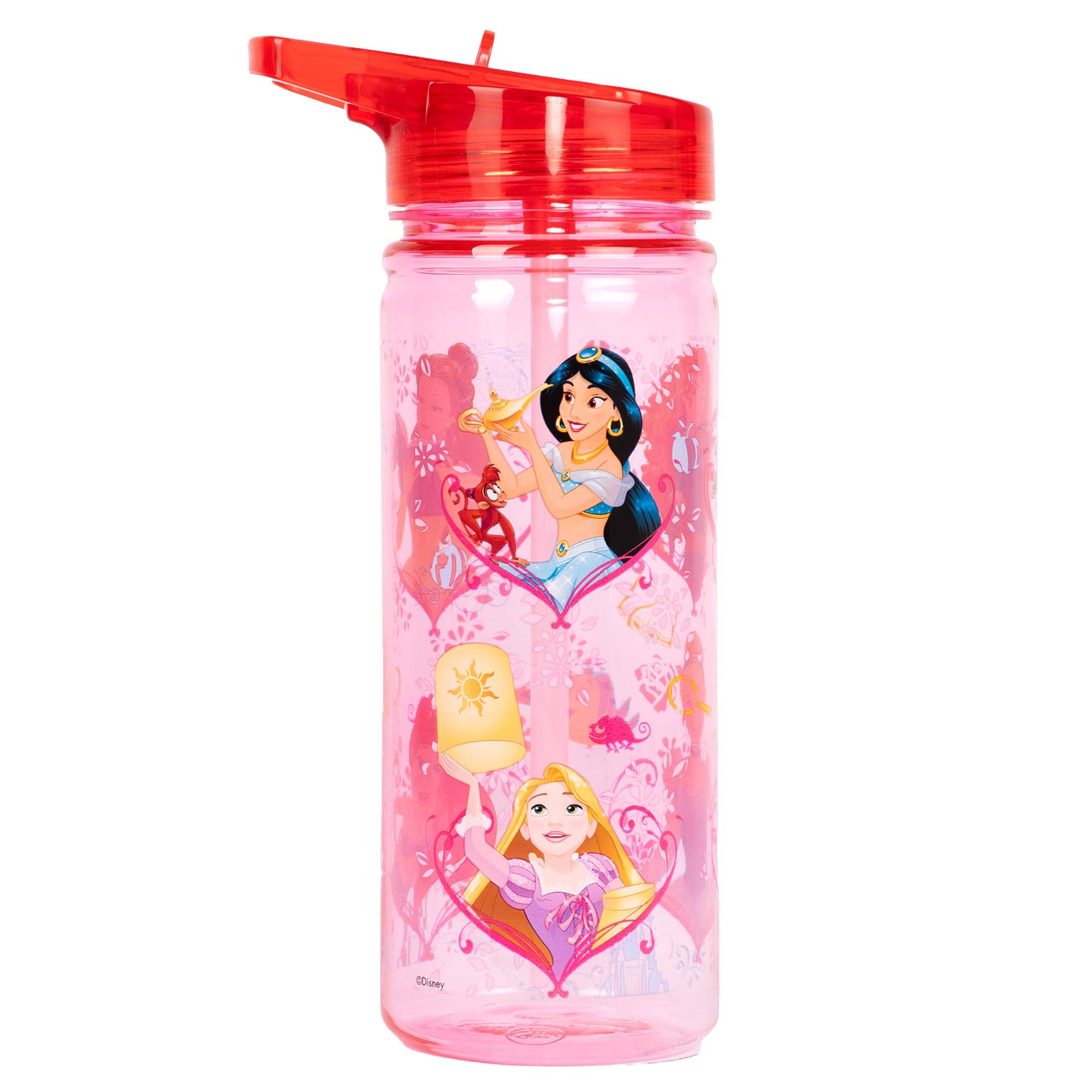 Fringoo Group Ltd – wholesale Water bottle – Water Bottle - Disney Princess0