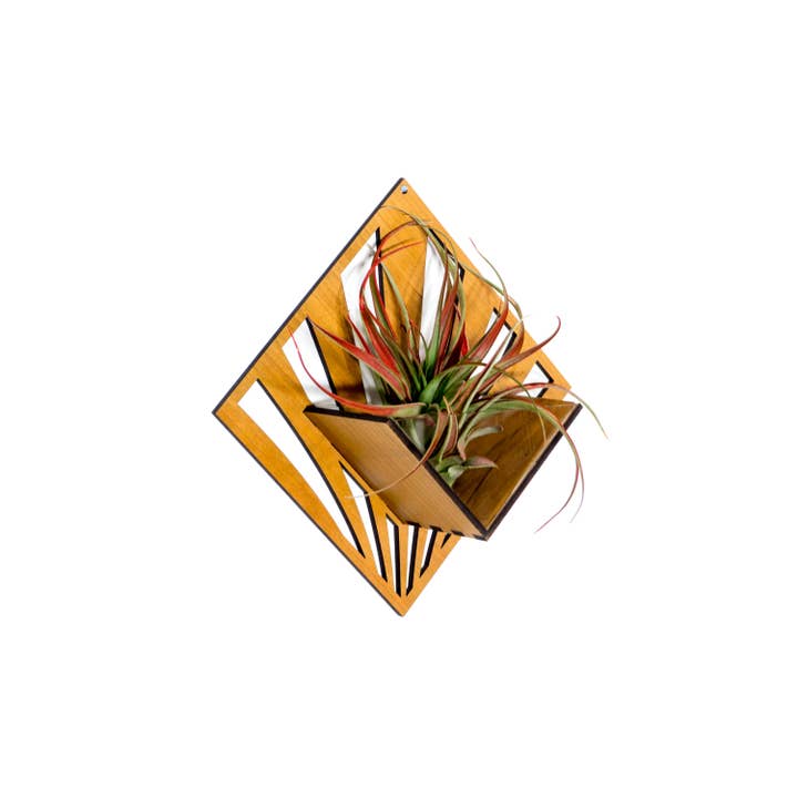 LIGHT RAZOR DESIGN STUDIO - Wholesale Wall planter - Air Plant Holder / Quadrate Wall Hanging Planter 243