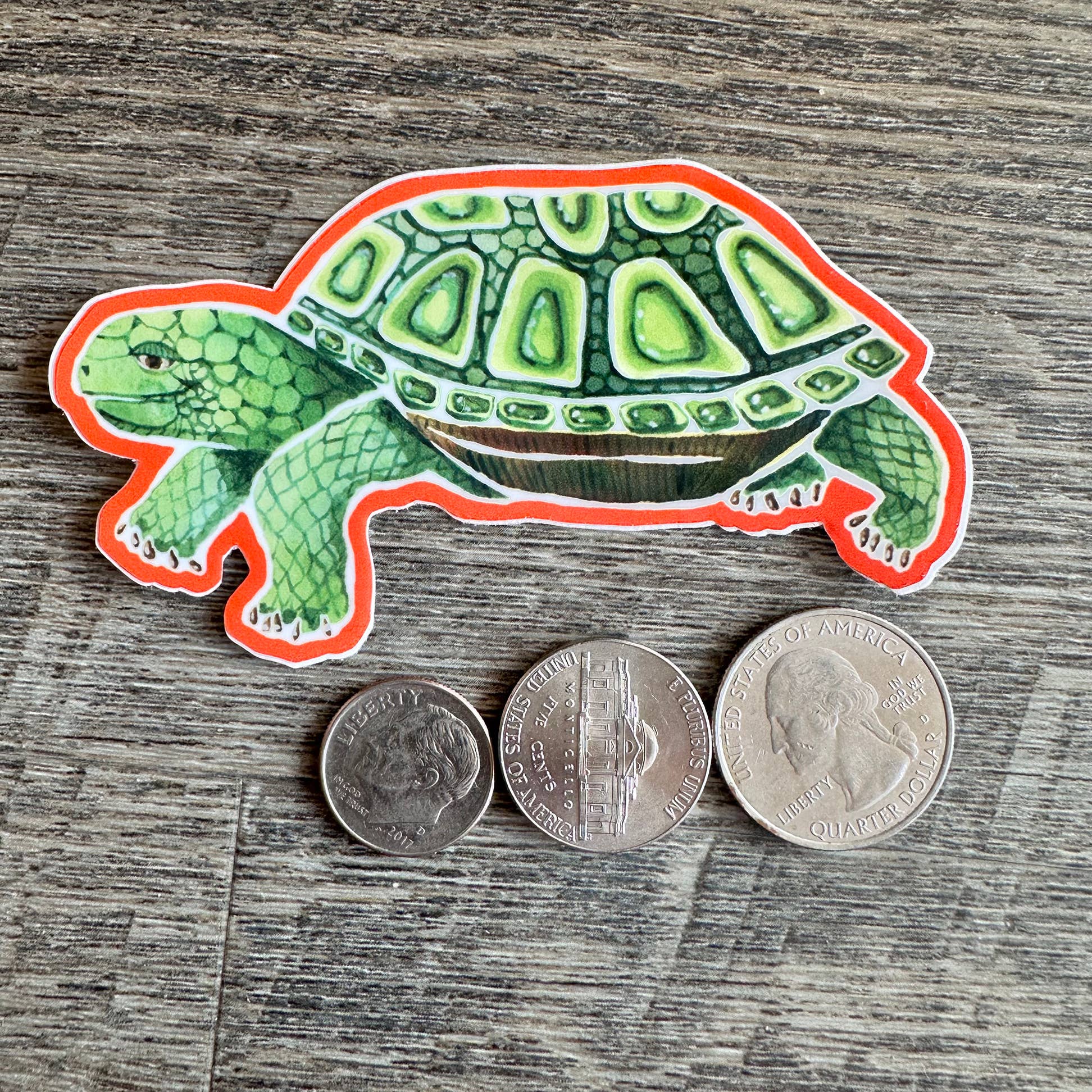 Mary M Spencer Design - Wholesale Sticker - Turtle Diecut Vinyl Sticker1