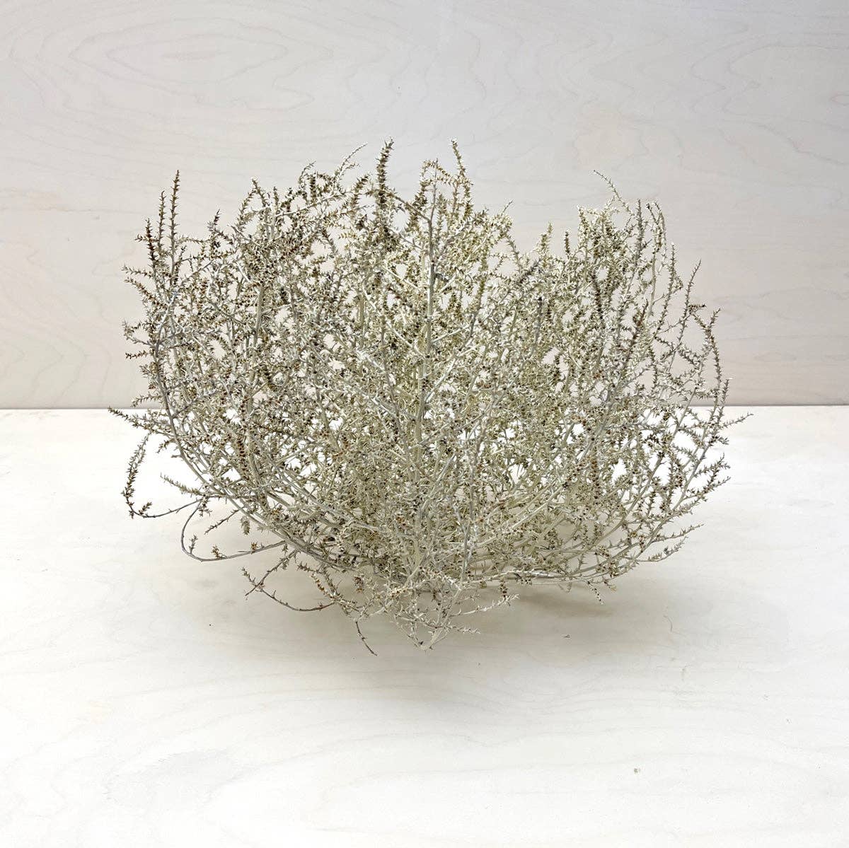 Farmhaus + Co. - Wholesale Decorative Tabletop Object - Tumbleweed Accent8