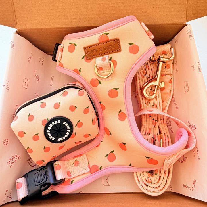 Perzik Blush AllSet™ Harnas Bijpassende Bundel (D-ring) voor wholesale door Sniff & Bark