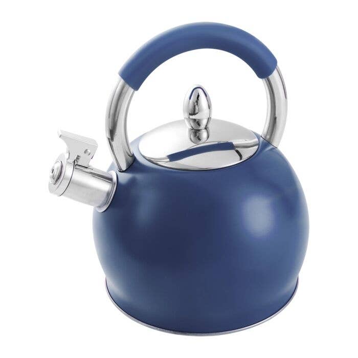 STP - Wholesale Kettle - Stainless Steel Blue Whistling Kettle with Silicone Handle