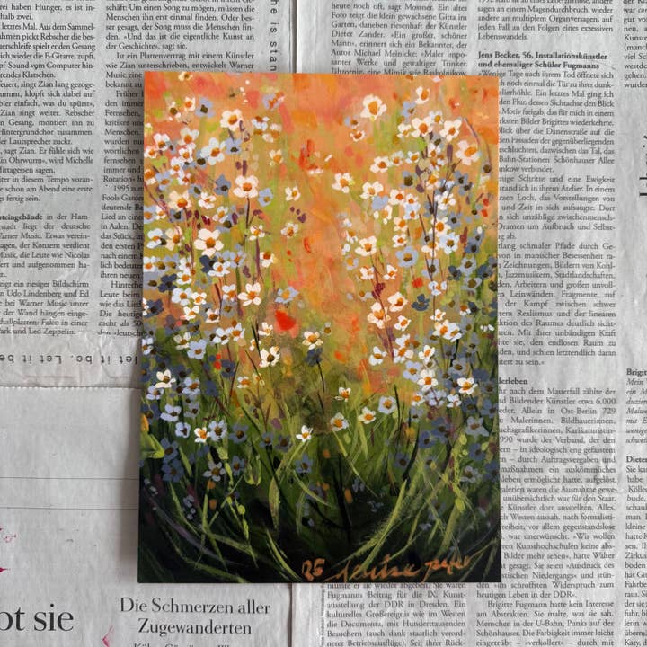 Bellis perennis XVIII impression pour la vente par denaisx