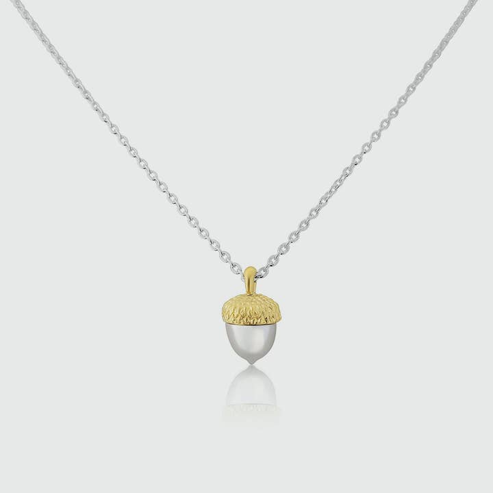 Sherwood Silver & Gold Acorn Necklace for wholesale by Auree Jewellery
