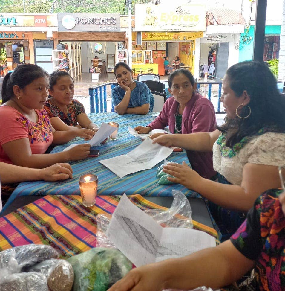Los Colores de la Tierra - Wholesale Tassel Earrings - Lightweight Fringe Earrings in Elegant Ombre5