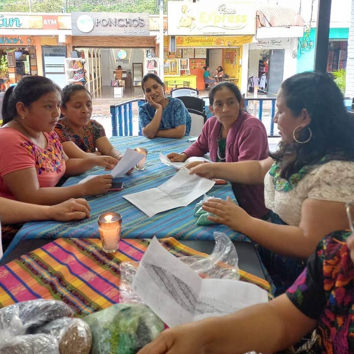 Los Colores de la Tierra - Wholesale Tassel Earrings - Lightweight Fringe Earrings in Elegant Ombre5