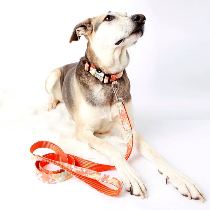 Laisse pour chien Motif cachemire Orange pour la vente par Mimi Green