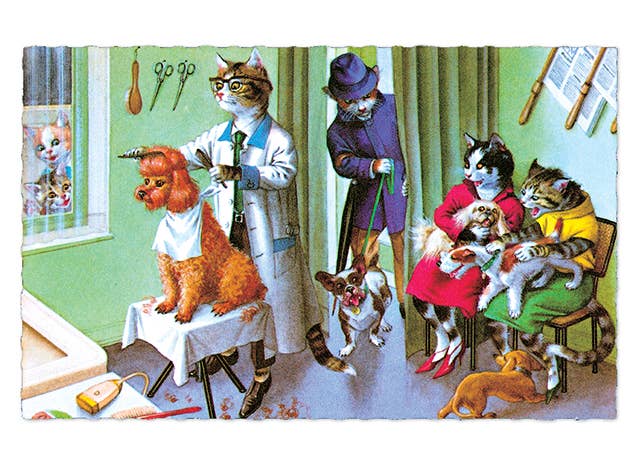 Laughing Elephant - Wholesale Postcard - Delightfully Dressed Cats - Everyday Boxed Postcards14