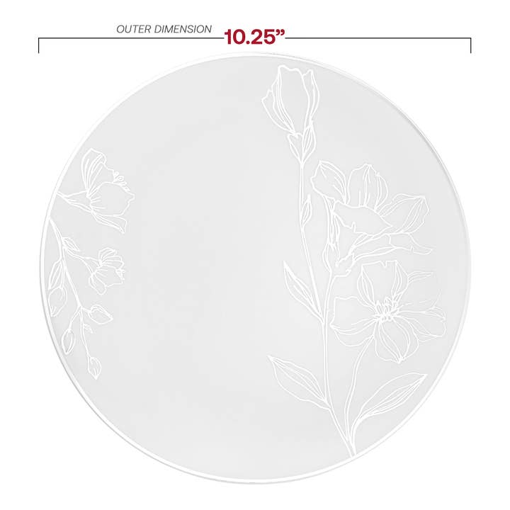 Smarty had a Party - Wholesale Disposable plate - 10.25" White Silver Plastic Dinner Plates - 120 pcs2