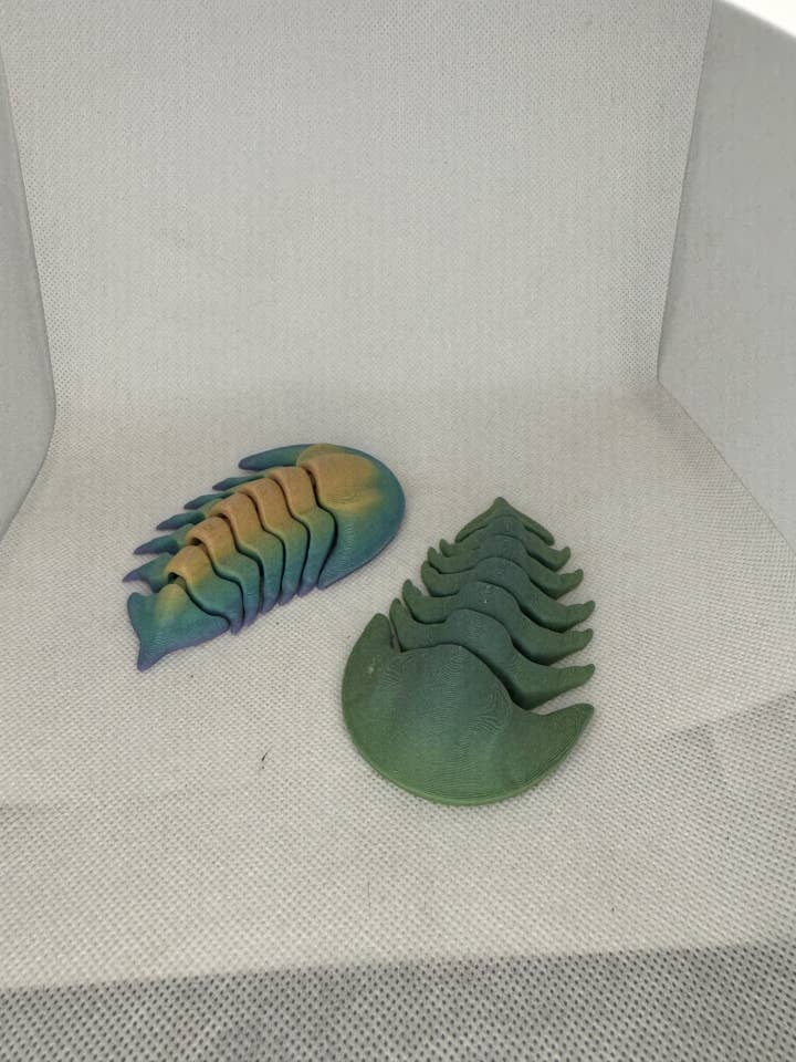 3D Printed Trilobite for wholesale by Astrids Essentials