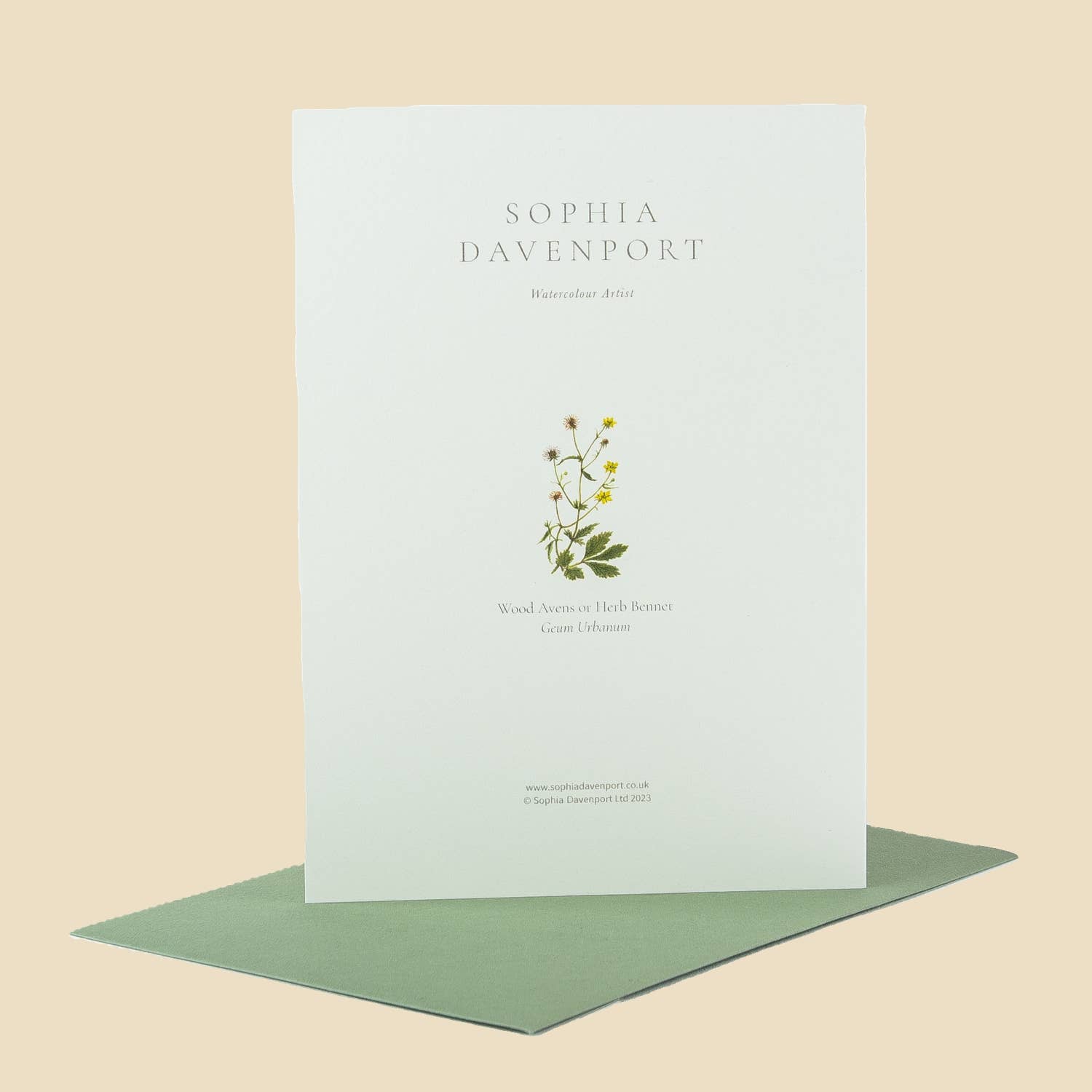 Sophia Davenport - Wholesale Everyday Greeting Card - Wildflower Greeting Cards and Notelets31