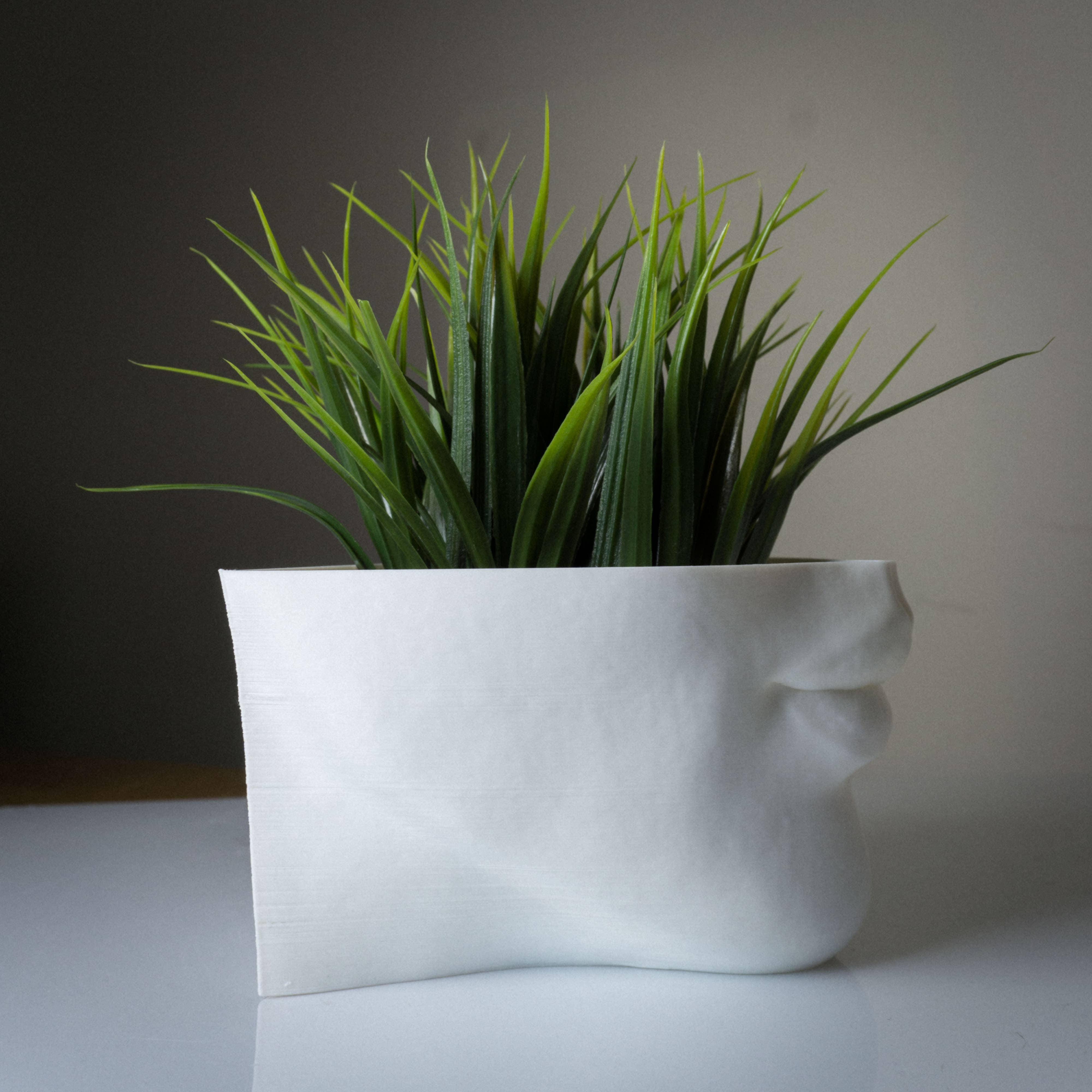 alterly – wholesale Kruka – Läppar Planter, Kvinna ansikte Växt Kruka - 3D Tryckt PLA, vit7