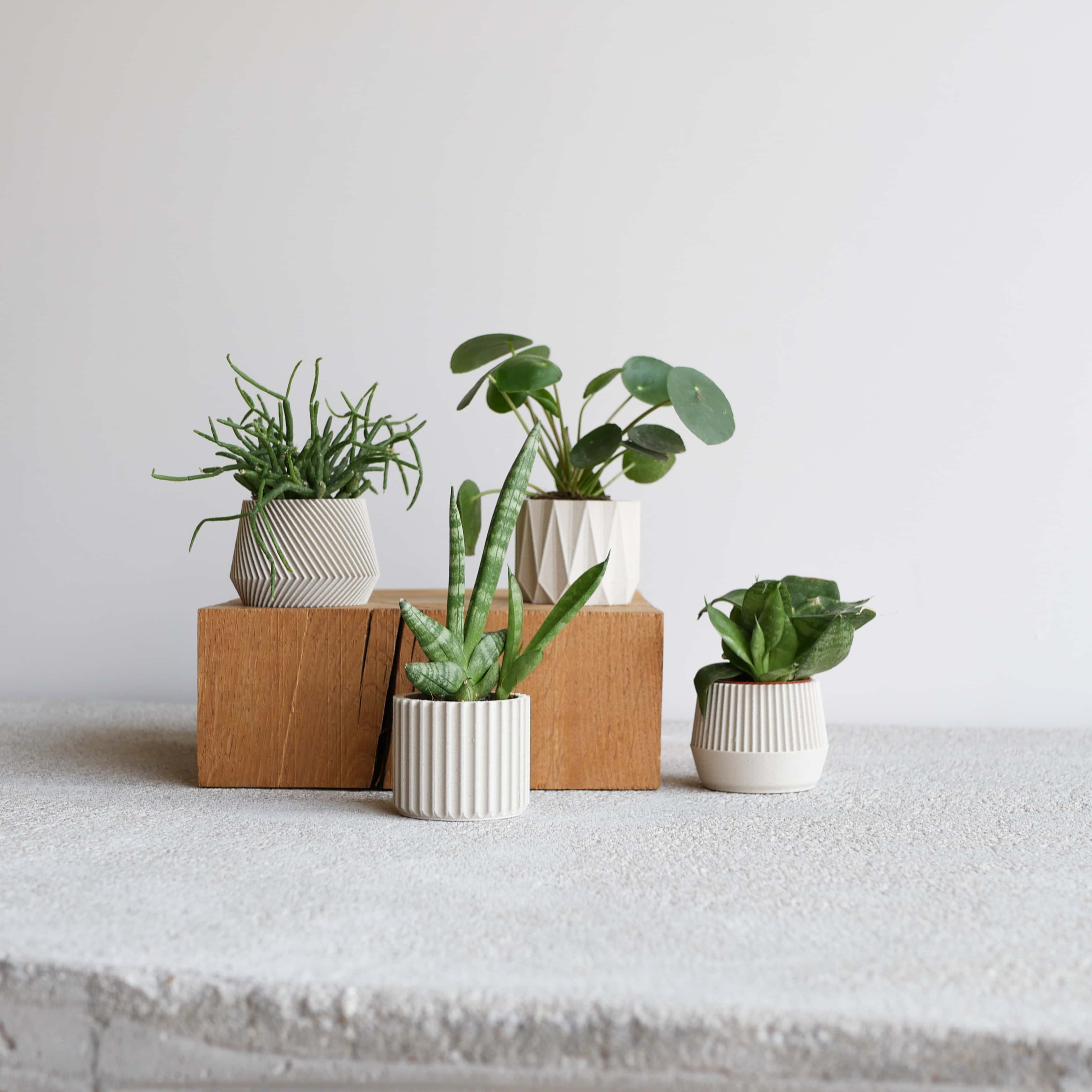 MINIMUM DESIGN - Wholesale Plant Pot - Set of 4 white plant pots – Oslo Origami Kobe Stockholm2