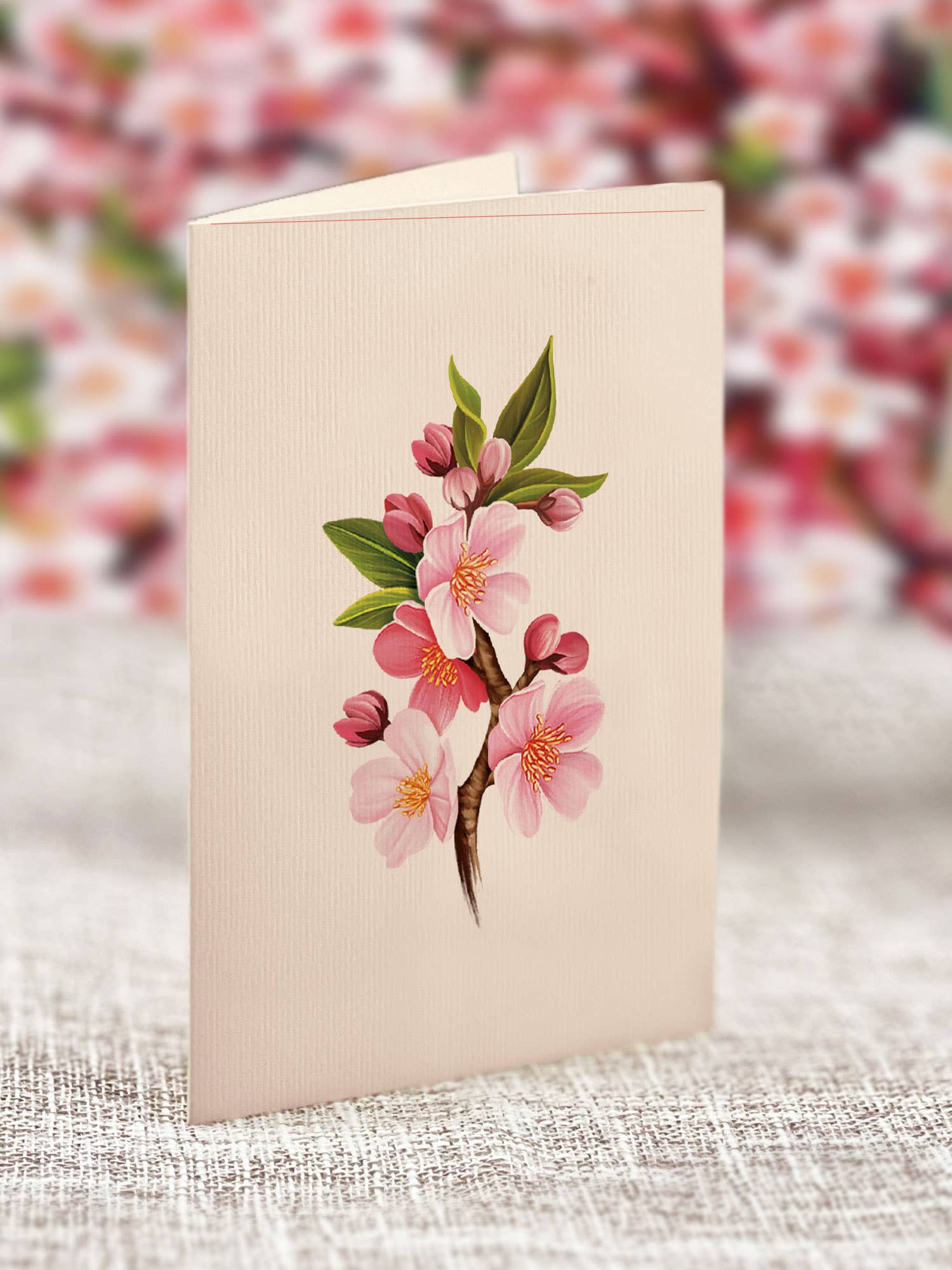 FreshCut Paper LLC - Wholesale Everyday Greeting Card - Japanese Cherry Blossoms (8 Pop-up Greeting Cards)4