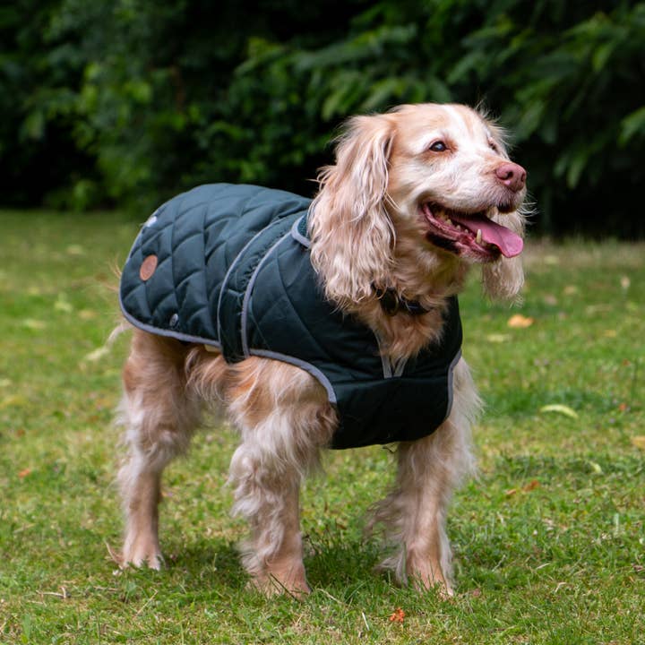 Ancol Pet Products Ltd – wholesale Pet coat – Dog – Heritage Green  Quilt Dog Coat XS-XXL 1