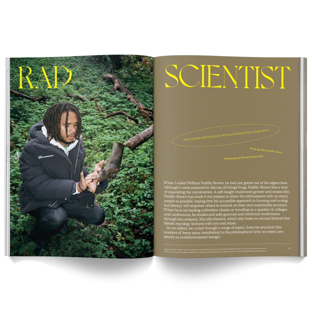 Broccoli - Wholesale Magazine - Mushroom People Magazine5