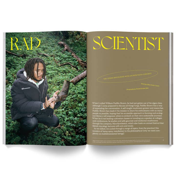 Broccoli - Wholesale Magazine - Mushroom People Magazine5