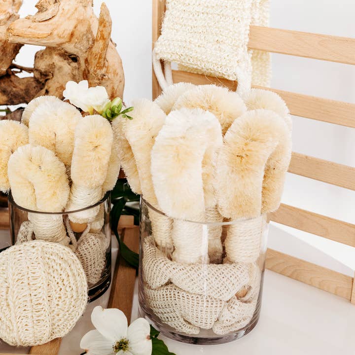 Baudelaire - Wholesale Body Brush - Sisal 9" Body Brush2