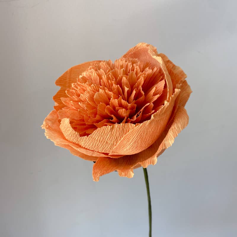 Papercraft Miracles LLC - Vente Fleurs artificielles - Fleur de pivoine charme en papier crépon (petite)4