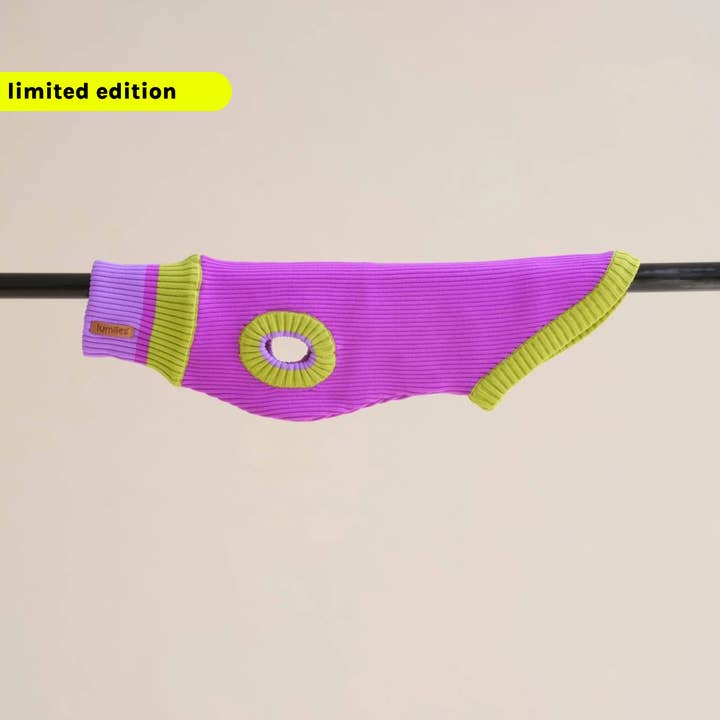 VIOLA SPRING THE GLOW JUMPER - Neon Dog Sweater - (Viola Spring) for wholesale on Faire2