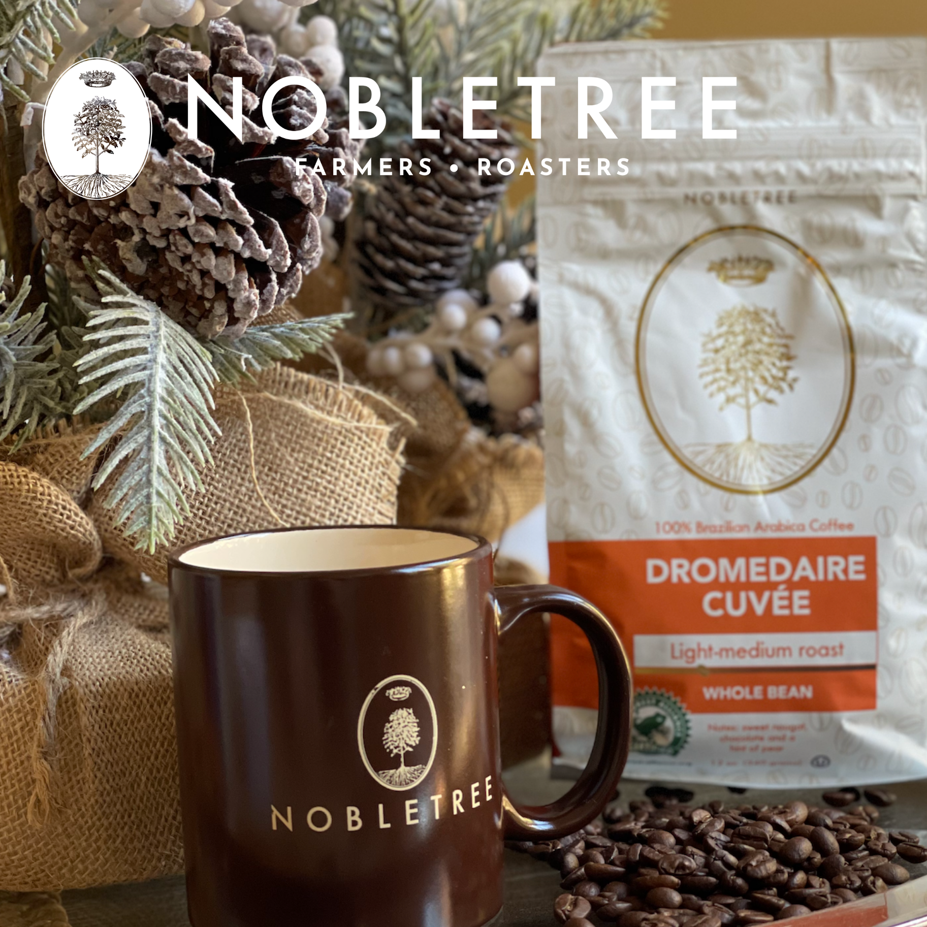 Nobletree Coffee - Wholesale Coffee Beans - 2022 Gourmet Holiday Coffee Bundle (20 Bags) Whole Beans4