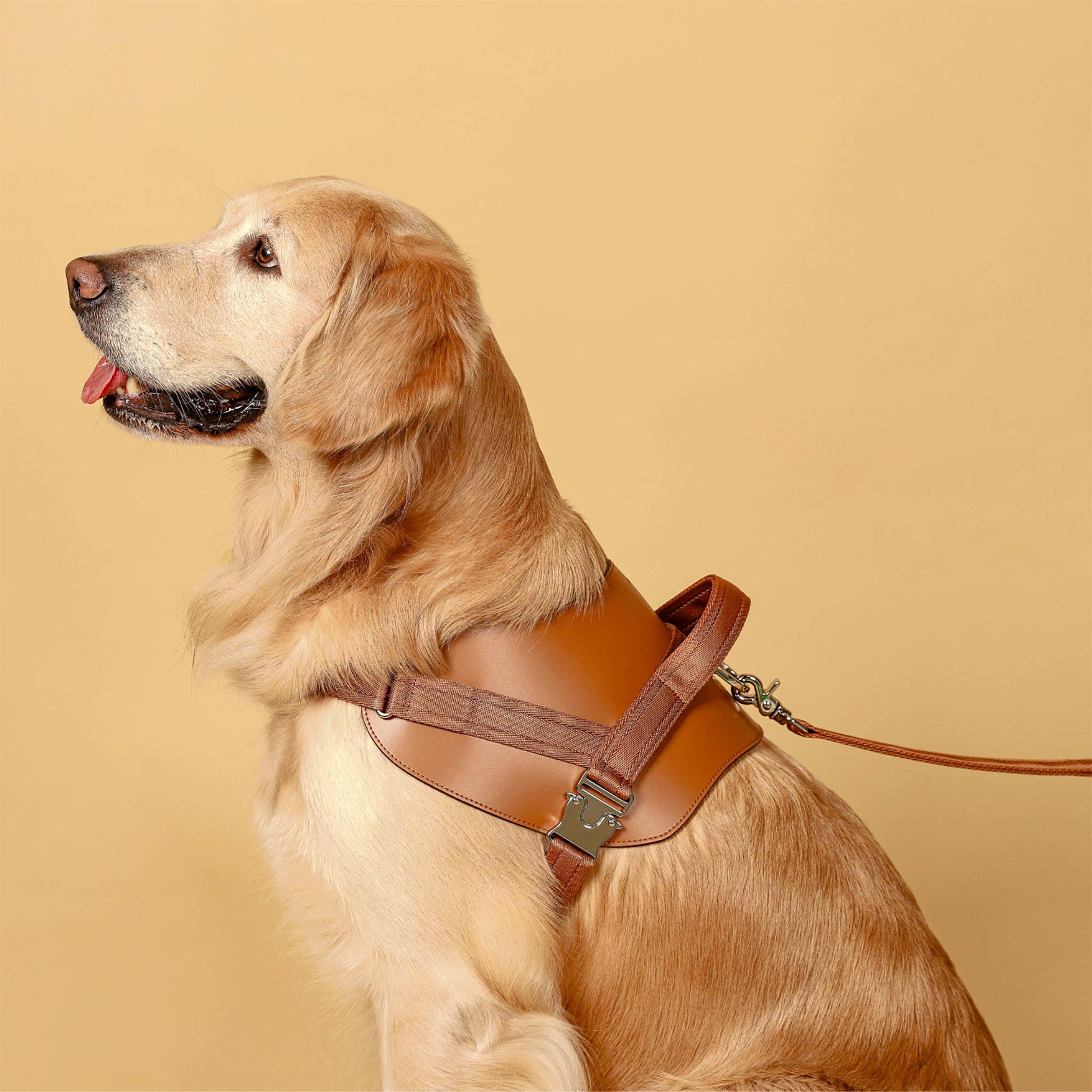 Hozi - Wholesale Pet Harness - Dog - Saddle Harness - Camel1