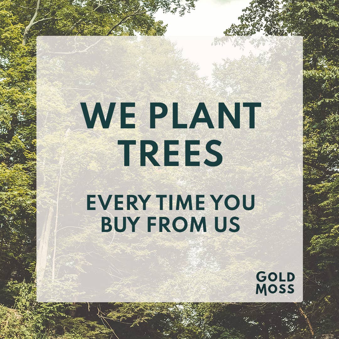 Gold Moss – wholesale Jar/filled candle – Hidden Loch | Soy Wax Candle | Regular 40 Hours3