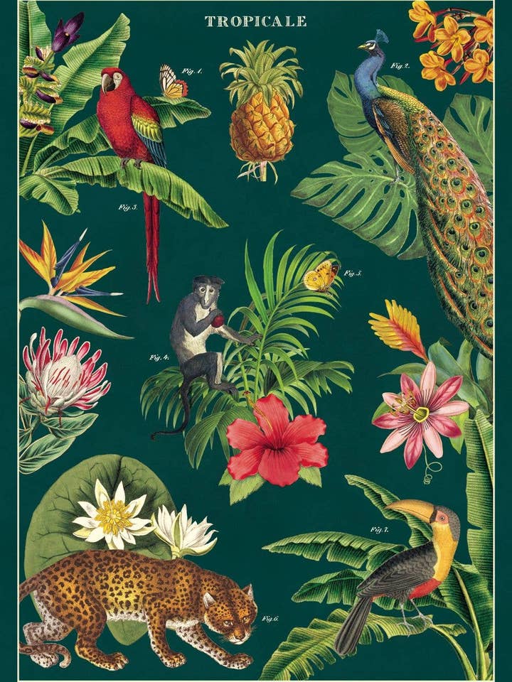 Cavallini Poster/Gift Wrap - Tropicale for wholesale by Cavallini & Co