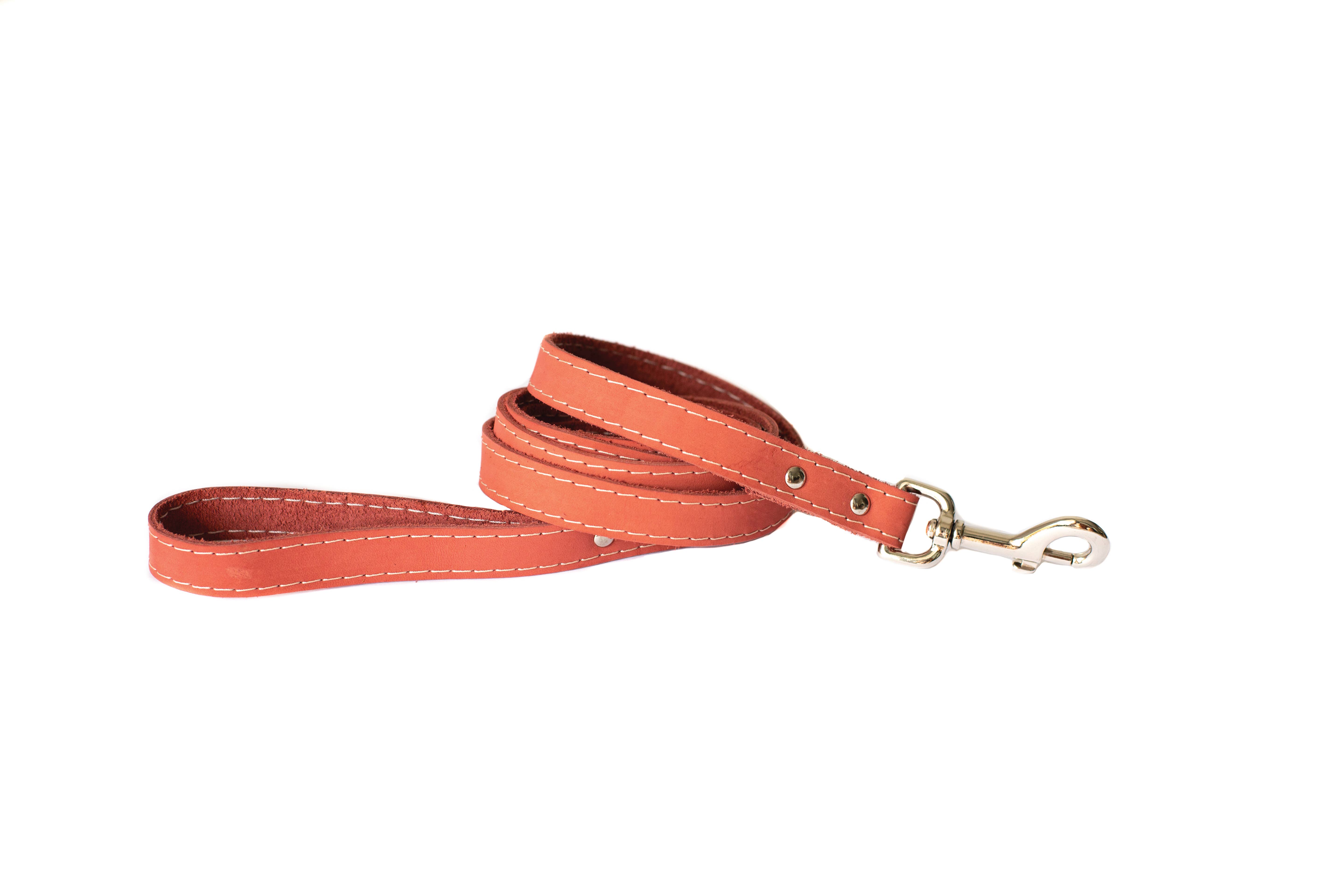 Euro-Dog Collars and Leads - Vendita all'ingrosso Guinzaglio - Cani - Guinzaglio per Cani in Pelle Pro Caccia Stile Tradizionale con Moschettone in Acciaio2