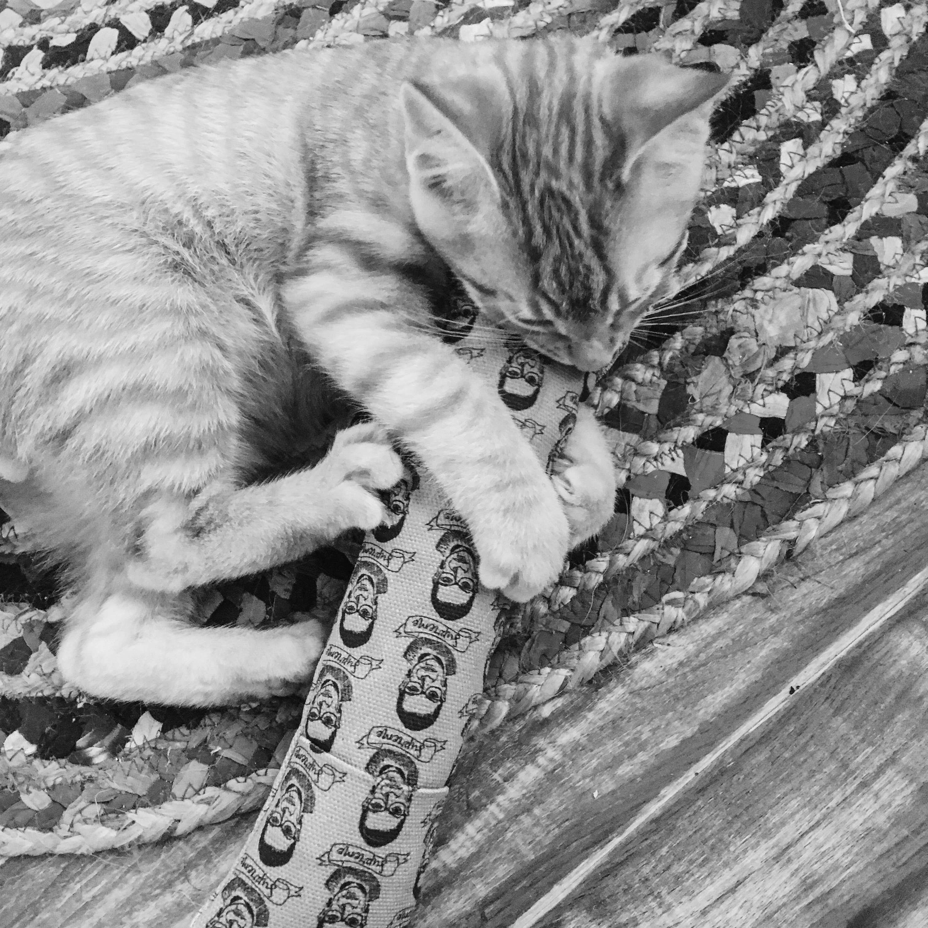 Ciao Gatto Cat Market - Wholesale Pet Toy - Cat - Cheshire and Alice Organic Catnip Cat Kicker1