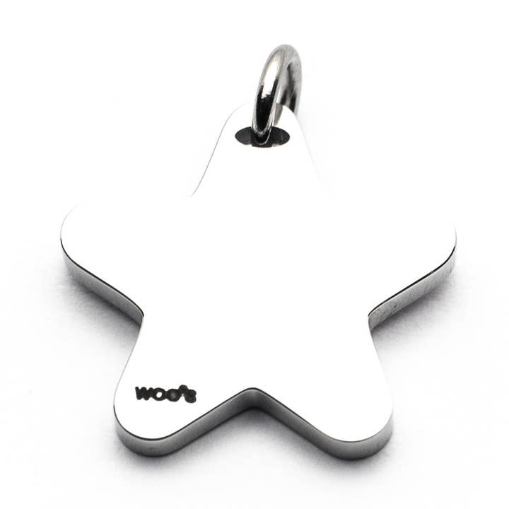 Colgante Charm Estrella Acero para venta al por mayor de Woo's pure feelings