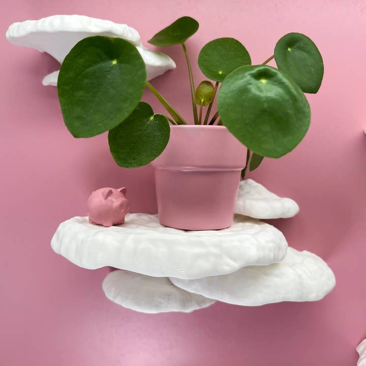 Roomberry - Wholesale Wall Mounted Shelf - Tree Sponge Mushroom Wall Shelf Set7