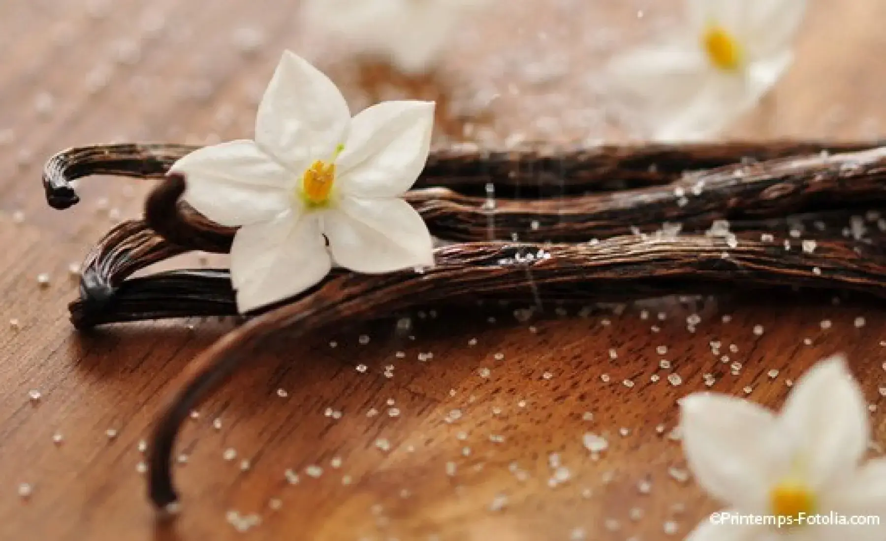 Kcosmetique - Wholesale Body Wash/Shower Gel - CHANTILLY SHOWER CREAM2