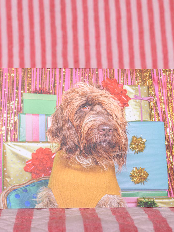 Christmas Holiday Card Funny Shaggy Dog Presents Photography for wholesale by The Velvet Big Top