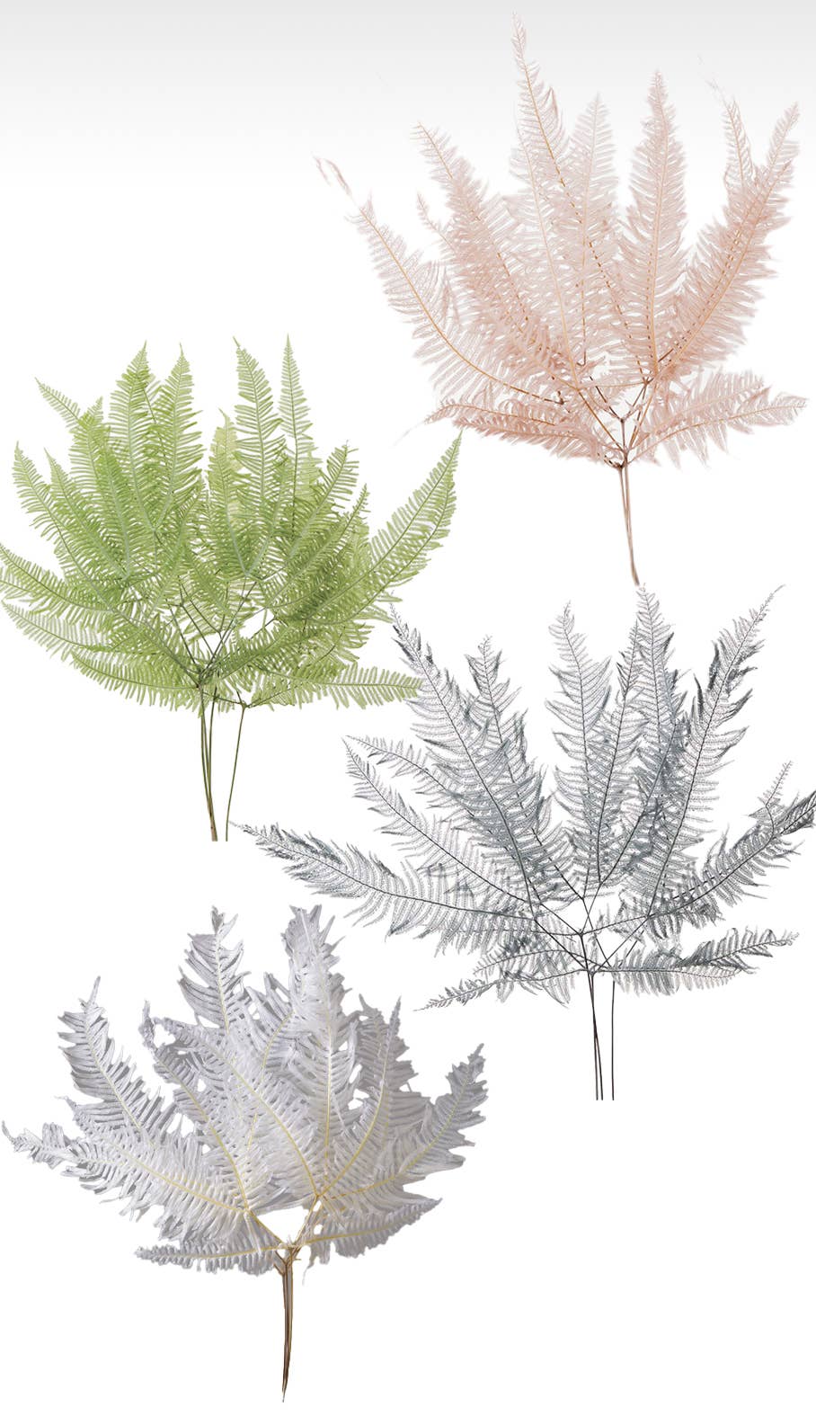 2626 Designs - Wholesale Dried/pressed flowers - Dried Preserved Mountain Fern | Realistic & Lasting Decor4