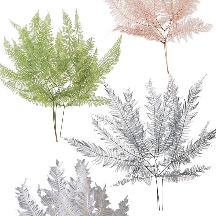 2626 Designs - Wholesale Dried/Pressed Flowers - Dried Preserved Mountain Fern | Realistic & Lasting Decor4